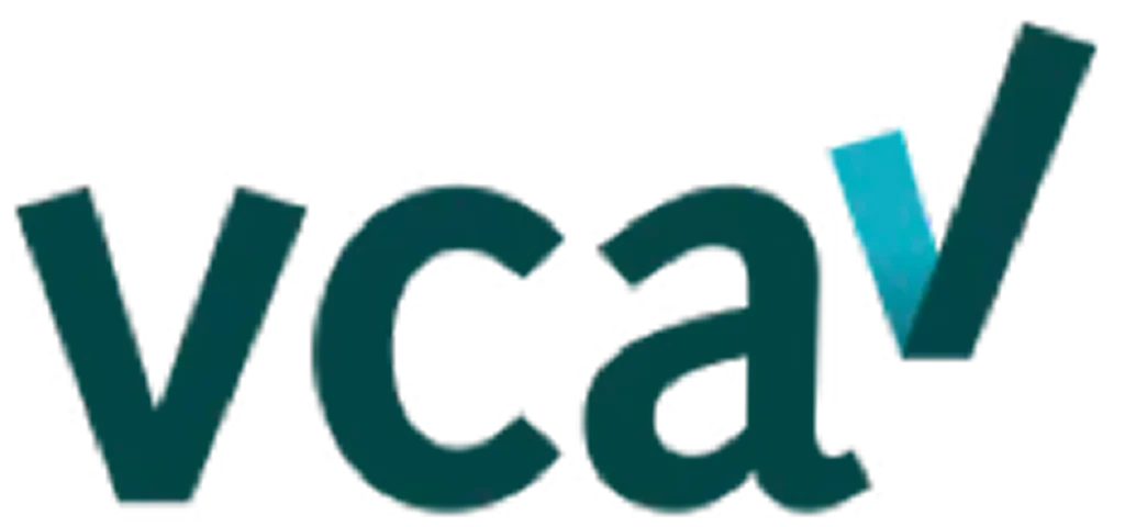 image-2-1